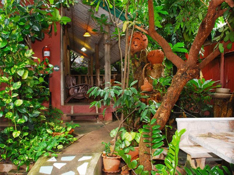 Sukhothai Guest House Cameră foto